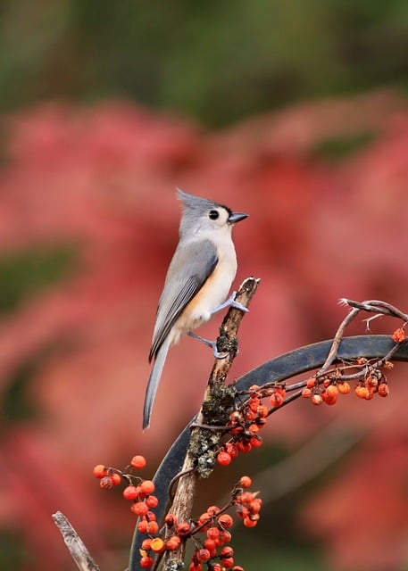 Managing Adversity with Mindfulness